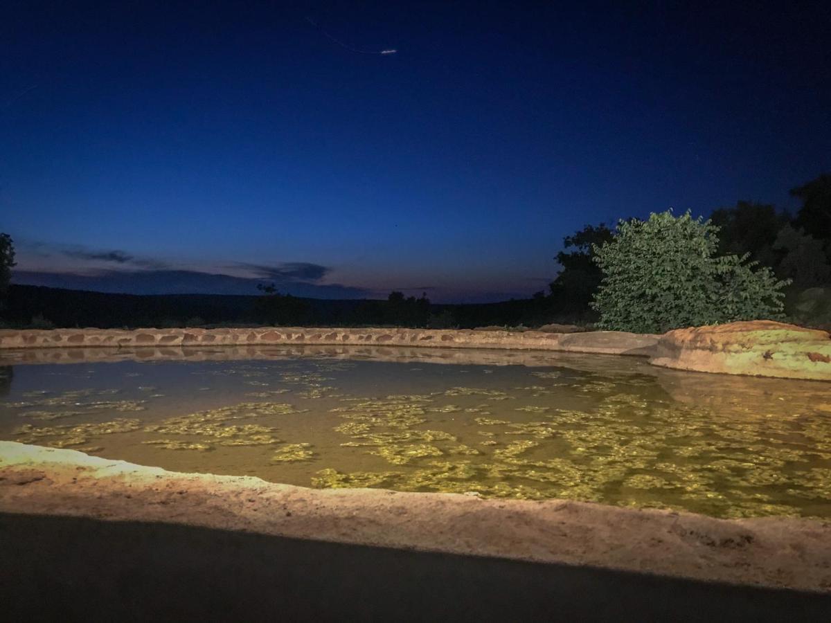 Laluka Safari Lodge - Welgevonden Game Reserve Exteriér fotografie