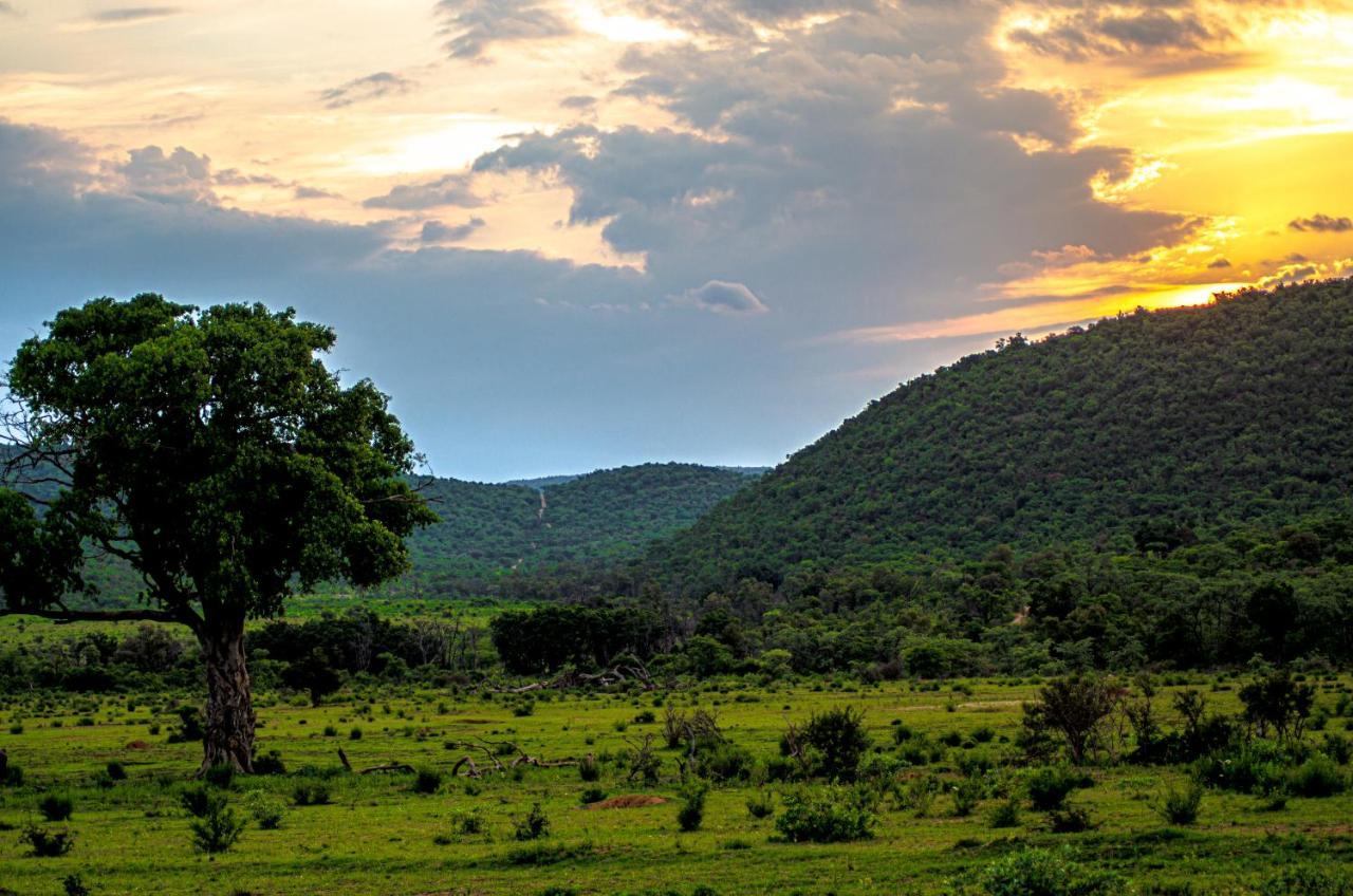 Laluka Safari Lodge - Welgevonden Game Reserve Exteriér fotografie