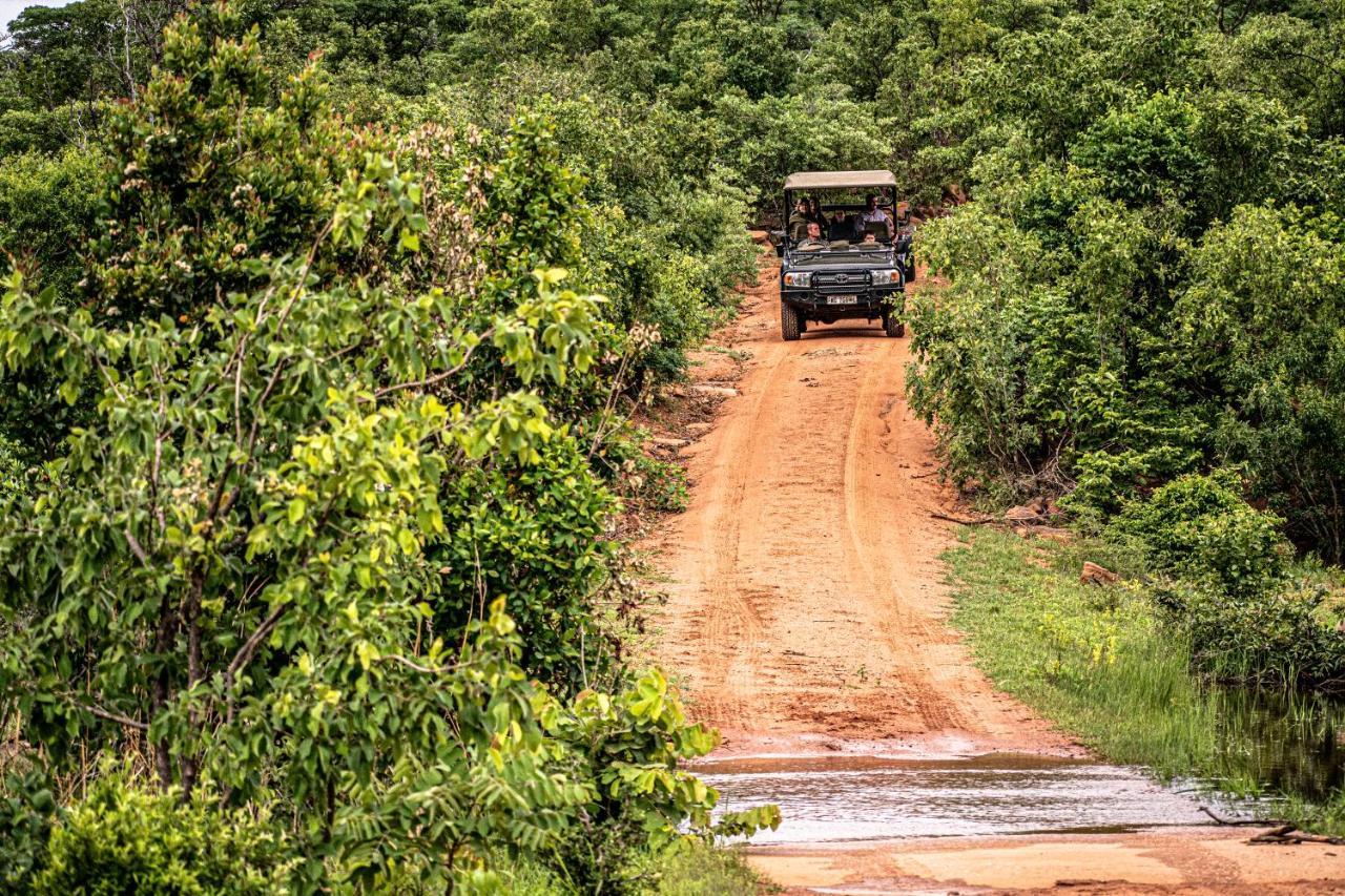 Laluka Safari Lodge - Welgevonden Game Reserve Exteriér fotografie